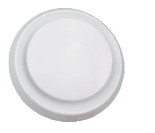 Exhaust Valve